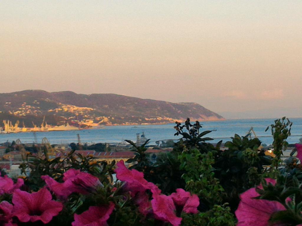 Dreams Guest House La Spezia Eksteriør bilde